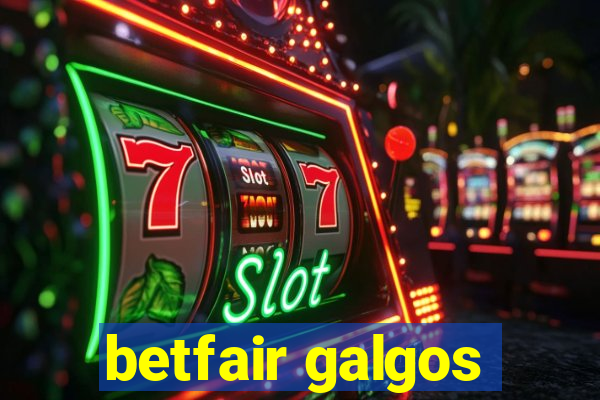 betfair galgos